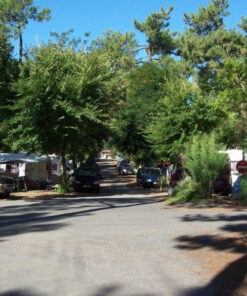 Emplacements Confort Les Pins Oleron