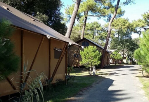 Lodge Safari Camping Pins Oleron