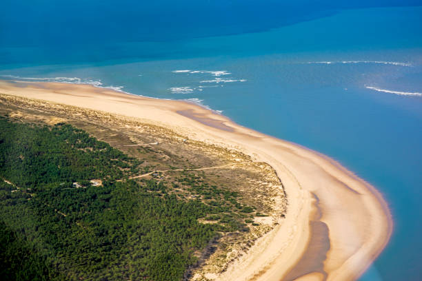 Flight On The Atlantic Coast, Oléron Island